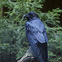 2014-08-17 10-02-23