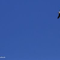 2014-08-17 11-02-37