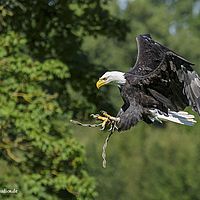 2014-08-17 11-14-54