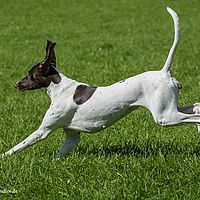 2014-08-17 11-20-15