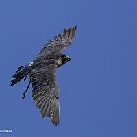 2014-08-17 11-22-15