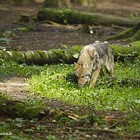 2014-08-28 09-55-29