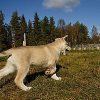 2012-09-12 12-22-00-1