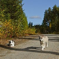 2012-09-13 12-03-00