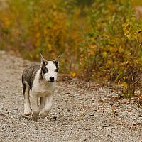 2012-09-13 12-13-25