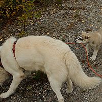 2012-09-13 12-28-22