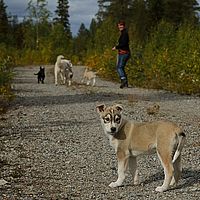 2012-09-13 12-29-54