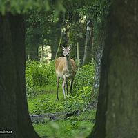 2014-08-28 10-07-18