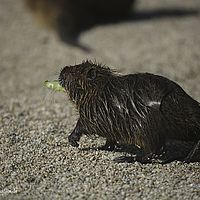 2014-08-28 10-16-44