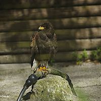 2014-08-28 10-23-04