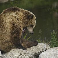 2014-08-28 10-36-32-9