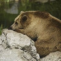 2014-08-28 10-37-54