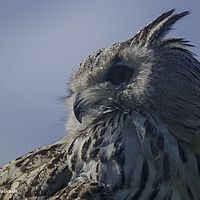 2014-08-28 11-08-26