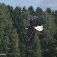 2014-08-28 11-11-49