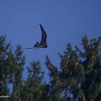 2014-08-28 11-16-23
