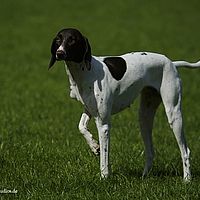 2014-08-28 11-22-35