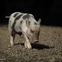 2014-08-28 11-51-19
