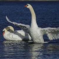 2015-01-10 13-17-22-6
