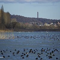 2015-01-10 14-37-47
