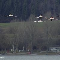 2015-01-10 15-10-04-4