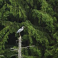 2015-06-14 15-34-14
