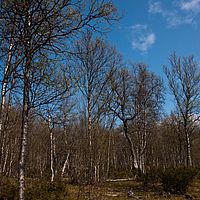 2011-06-05 14-18-20