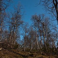 2011-06-05 16-07-09