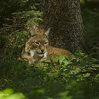 2014-08-28 12-11-13