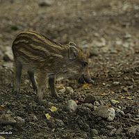 2014-08-30 09-34-48