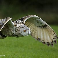 2014-08-30 11-19-06-7