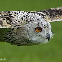 2014-08-30 11-19-06-8