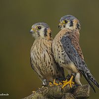 2014-10-05 15-16-24