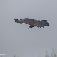 2014-10-05 15-29-36
