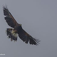 2014-10-05 15-30-14