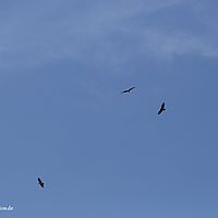 2015-06-25 17-44-59