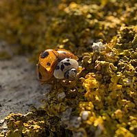 2015-10-25 16-54-35