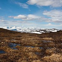 2011-06-06 11-20-41