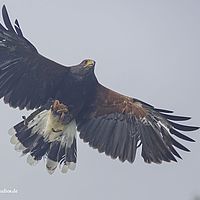 2014-10-05 15-31-05