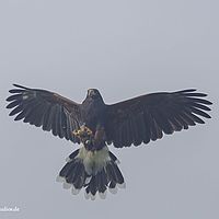 2014-10-05 15-31-37