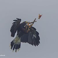 2014-10-05 15-32-23