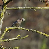 2015-11-08 12-02-52