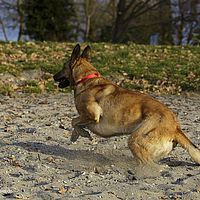 2015-11-14 16-34-20-2-2