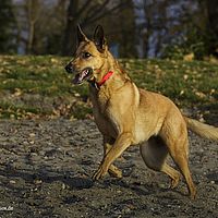 2015-11-14 16-34-20
