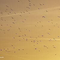 2015-11-15 17-11-04