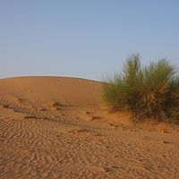 19-09-2010 06-52-54