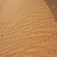 19-09-2010 07-08-07