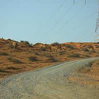 20-09-2010 16-29-23
