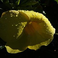 19-05-2010 09-00-47