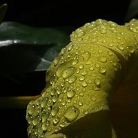 19-05-2010 09-01-27