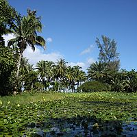 29-05-2010 10-21-50